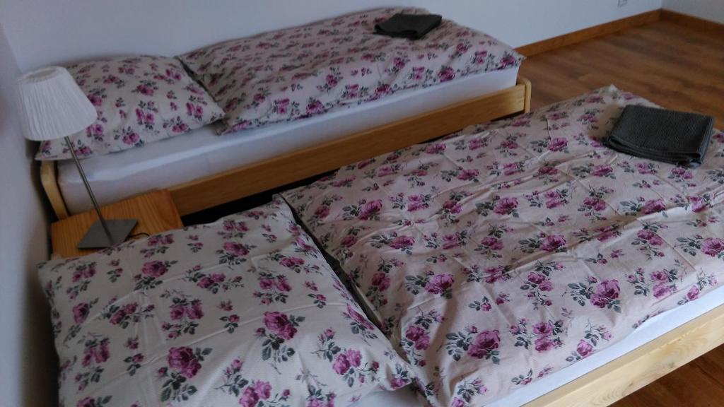 Apartament Tczew-Duze Pokoje! 외부 사진